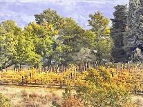 Tuscan Countryside In Autumn-Dorothy Berry-Lound-Giclee Print