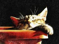 Wake Me When It Is Dinner Time-Dorothy Berry-Lound-Giclee Print