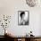 Dorothy Dandridge-null-Framed Stretched Canvas displayed on a wall