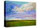 Stretched Canvas
