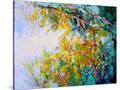 Stretched Canvas