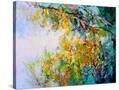 Stretched Canvas