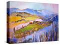 Stretched Canvas
