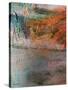 Stretched Canvas