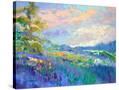Stretched Canvas