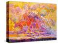 Stretched Canvas