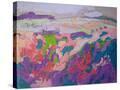 Stretched Canvas