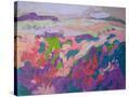 Stretched Canvas