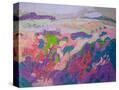 Stretched Canvas