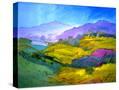 Stretched Canvas