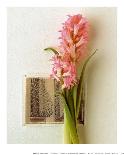 Hyacinth, Euro-Floral-Dorothy Gaubert Pyle-Framed Art Print