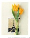 Tulip, Euro-Floral-Dorothy Gaubert Pyle-Laminated Art Print