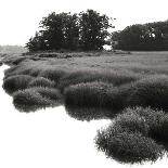 Bright Mist on the Marsh-Dorothy Kerper Monnelly-Art Print