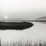 Nut Island, Salt Marsh-Dorothy Kerper Monnelly-Laminated Art Print