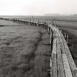 Bright Mist on the Marsh-Dorothy Kerper Monnelly-Framed Stretched Canvas