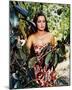 Dorothy Lamour-null-Mounted Photo