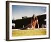 Dorothy Lamour-null-Framed Photo