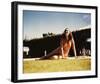 Dorothy Lamour-null-Framed Photo