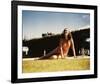 Dorothy Lamour-null-Framed Photo