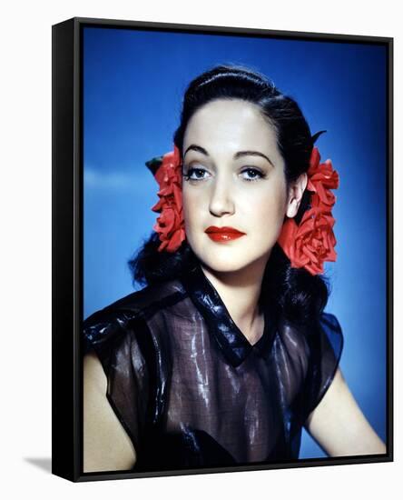 Dorothy Lamour-null-Framed Stretched Canvas