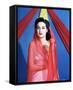 Dorothy Lamour-null-Framed Stretched Canvas