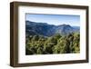 Dorrigo National Park, UNESCO World Heritage Site, New South Wales, Australia, Pacific-Michael Runkel-Framed Photographic Print