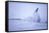 Dorsal Fin of Humpback Whale in Frederick Sound-Paul Souders-Framed Stretched Canvas