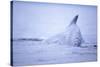 Dorsal Fin of Humpback Whale in Frederick Sound-Paul Souders-Stretched Canvas