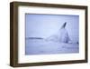 Dorsal Fin of Humpback Whale in Frederick Sound-Paul Souders-Framed Photographic Print