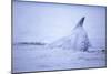 Dorsal Fin of Humpback Whale in Frederick Sound-Paul Souders-Mounted Photographic Print