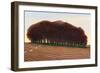 Dorset Clump of Trees, 2012-Liz Wright-Framed Giclee Print