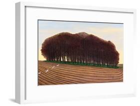 Dorset Clump of Trees, 2012-Liz Wright-Framed Giclee Print