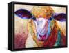 Dorset Ewe-Marion Rose-Framed Stretched Canvas