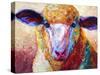 Dorset Ewe-Marion Rose-Stretched Canvas