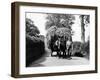 Dorset Hay Wain-Fred Musto-Framed Photographic Print