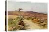 Dorset Scenery: Bere Heath in Autumn, Egdon Heath in Thomas Hardys Return of the Native-Walter Tyndale-Stretched Canvas