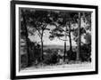 Gramercy Black