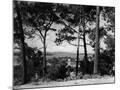 Wood Mount