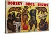 Dorsey Bros. Shows Poster-null-Stretched Canvas
