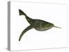 Doryaspis Is an Extinct Genus of Primitive Jawless Fish-null-Stretched Canvas