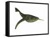 Doryaspis Is an Extinct Genus of Primitive Jawless Fish-null-Framed Stretched Canvas