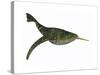 Doryaspis Is an Extinct Genus of Primitive Jawless Fish-null-Stretched Canvas