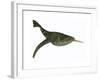 Doryaspis Is an Extinct Genus of Primitive Jawless Fish-null-Framed Art Print