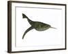 Doryaspis Is an Extinct Genus of Primitive Jawless Fish-null-Framed Art Print