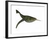 Doryaspis Is an Extinct Genus of Primitive Jawless Fish-null-Framed Art Print