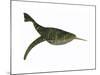 Doryaspis Is an Extinct Genus of Primitive Jawless Fish-null-Mounted Art Print