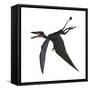 Dorygnathus, a Genus of Pterosaur from the Jurassic Period-null-Framed Stretched Canvas