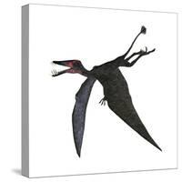 Dorygnathus, a Genus of Pterosaur from the Jurassic Period-null-Stretched Canvas