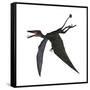 Dorygnathus, a Genus of Pterosaur from the Jurassic Period-null-Framed Stretched Canvas