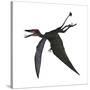 Dorygnathus, a Genus of Pterosaur from the Jurassic Period-null-Stretched Canvas